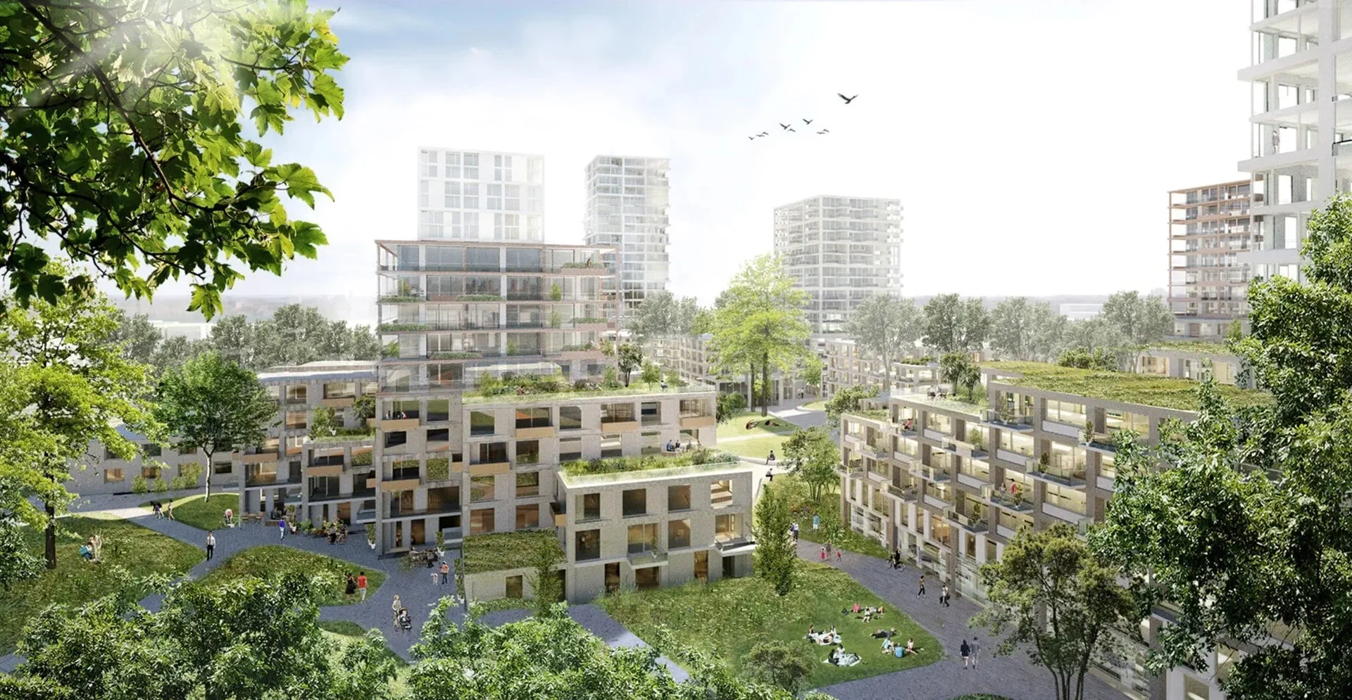 DMI Ecosysteem
